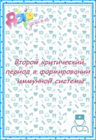 Формирование иммунной системы. 2 период.