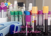 Белая кровь: норма
